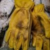 Asivik Work Glove