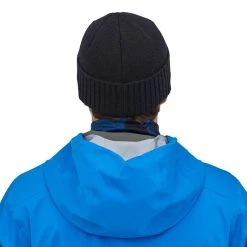 Patagonia Brodeo Wool Beanie